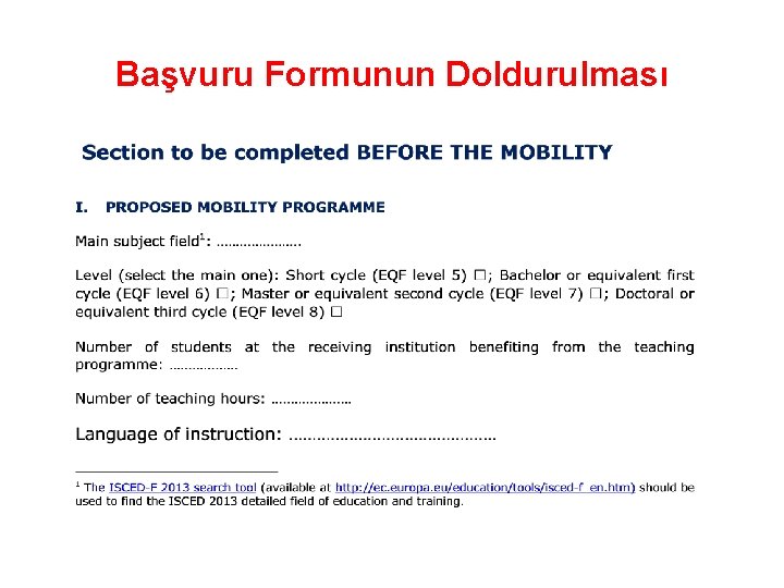 Başvuru Formunun Doldurulması 