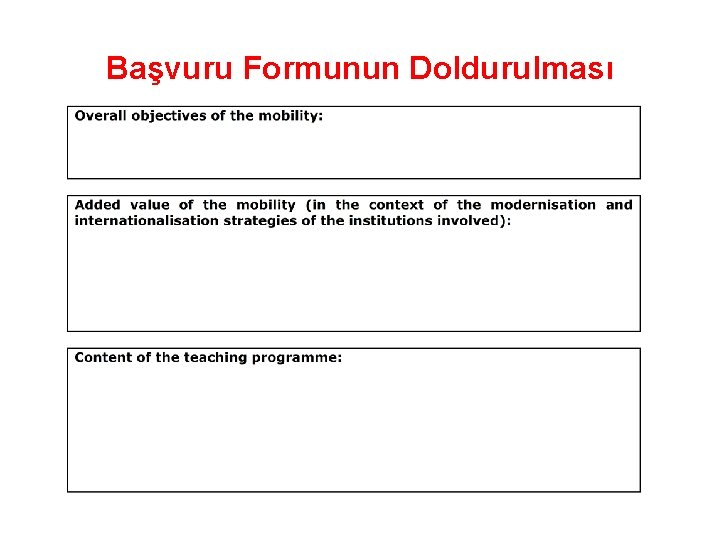 Başvuru Formunun Doldurulması 