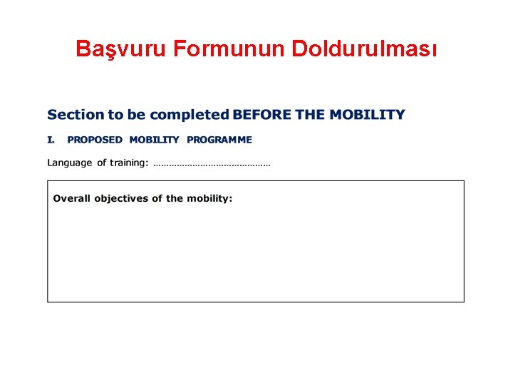 Başvuru Formunun Doldurulması 