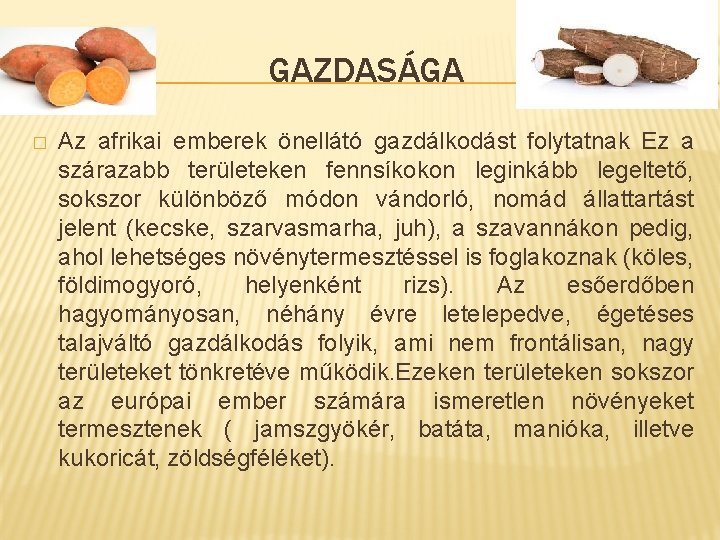 GAZDASÁGA � Az afrikai emberek önellátó gazdálkodást folytatnak Ez a szárazabb területeken fennsíkokon leginkább