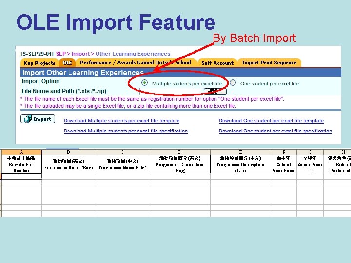 OLE Import Feature By Batch Import 