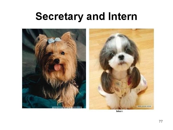 Secretary and Intern 77 