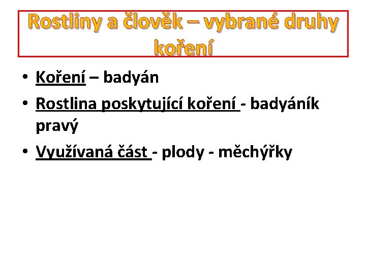 Rostliny a člověk – vybrané druhy koření • Koření – badyán • Rostlina poskytující