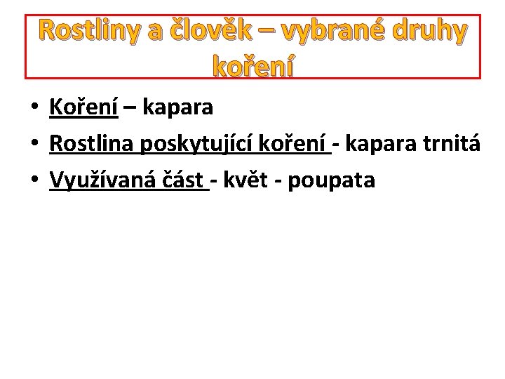 Rostliny a člověk – vybrané druhy koření • Koření – kapara • Rostlina poskytující