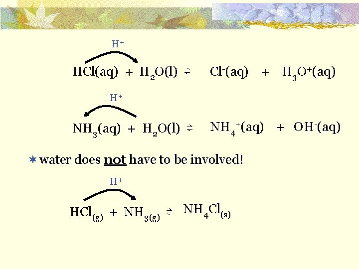 H + HCl(aq) + H 2 O(l) ⇌ Cl-(aq) + H 3 O+(aq) H