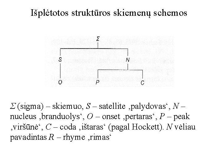 Išplėtotos struktūros skiemenų schemos Σ (sigma) – skiemuo, S – satellite ‚palydovas‘, N –