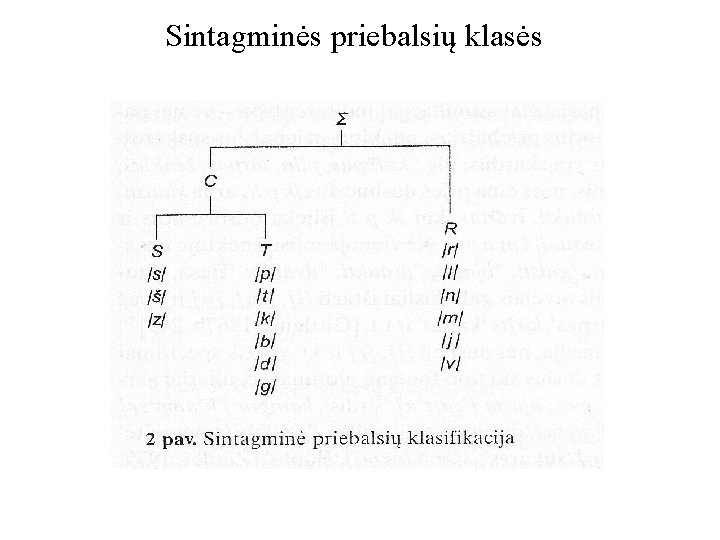 Sintagminės priebalsių klasės 