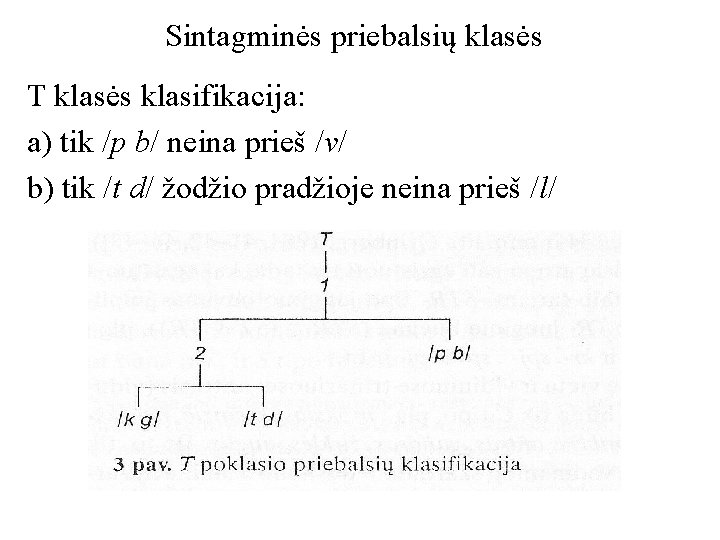 Sintagminės priebalsių klasės T klasės klasifikacija: a) tik /p b/ neina prieš /v/ b)