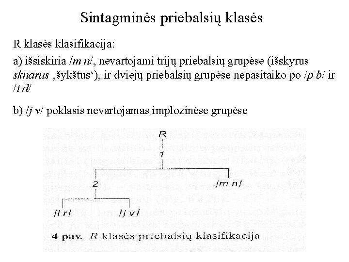 Sintagminės priebalsių klasės R klasės klasifikacija: a) išsiskiria /m n/, nevartojami trijų priebalsių grupėse