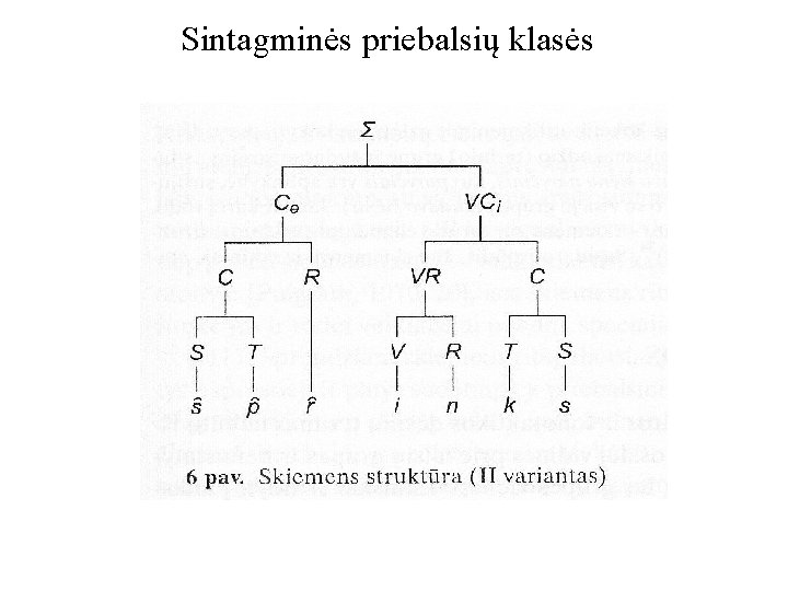 Sintagminės priebalsių klasės 