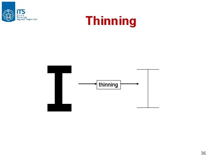 Thinning thinning 36 