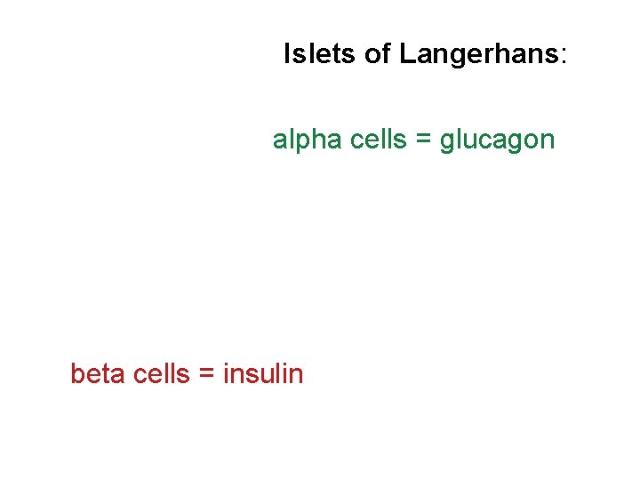 Islets of Langerhans: alpha cells = glucagon beta cells = insulin 
