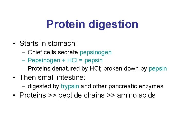 Protein digestion • Starts in stomach: – Chief cells secrete pepsinogen – Pepsinogen +