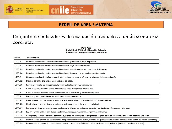 PERFIL DE ÁREA / MATERIA Conjunto de indicadores de evaluación asociados a un área/materia