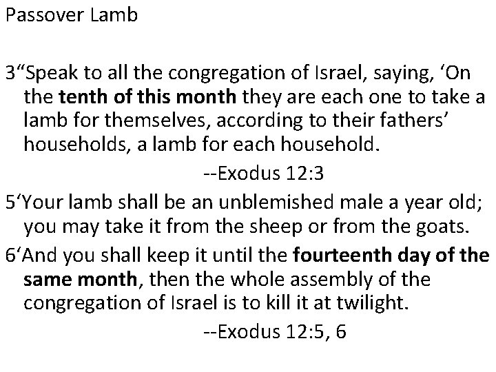 Passover Lamb 3“Speak to all the congregation of Israel, saying, ‘On the tenth of