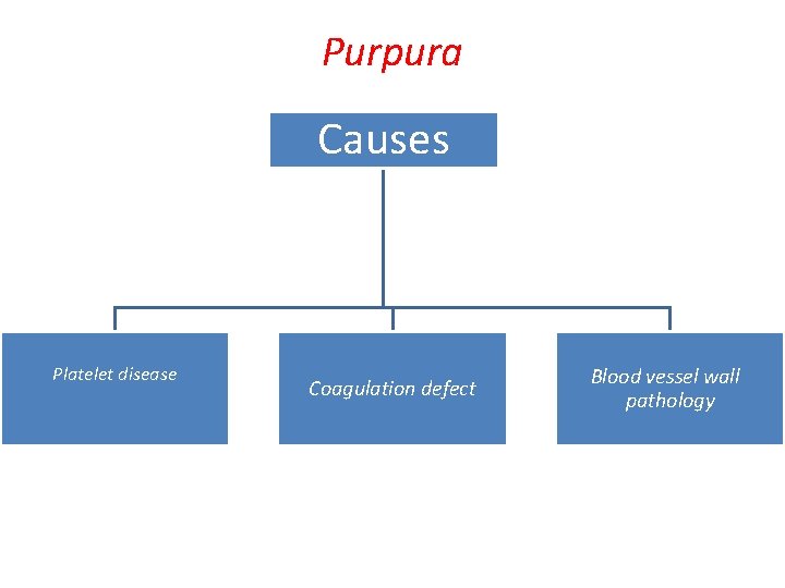 Purpura Causes Platelet disease Coagulation defect Blood vessel wall pathology 