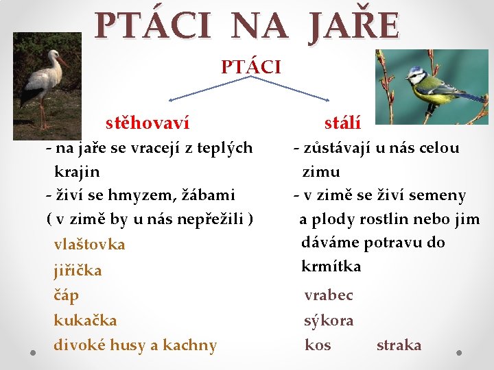 PTÁCI NA JAŘE PTÁCI • stěhovaví • - na jaře se vracejí z teplých