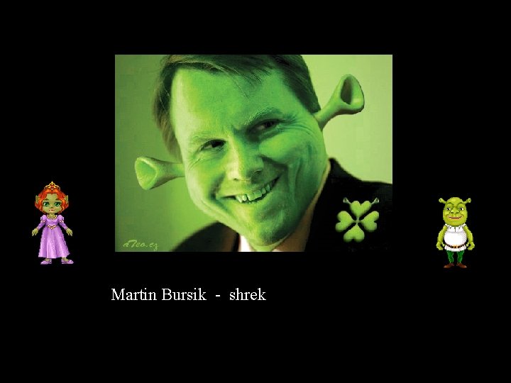 Martin Bursik - shrek 