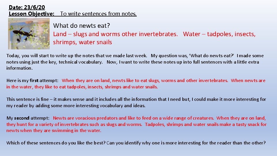 Date: 23/6/20 Lesson Objective: To write sentences from notes. What do newts eat? Land