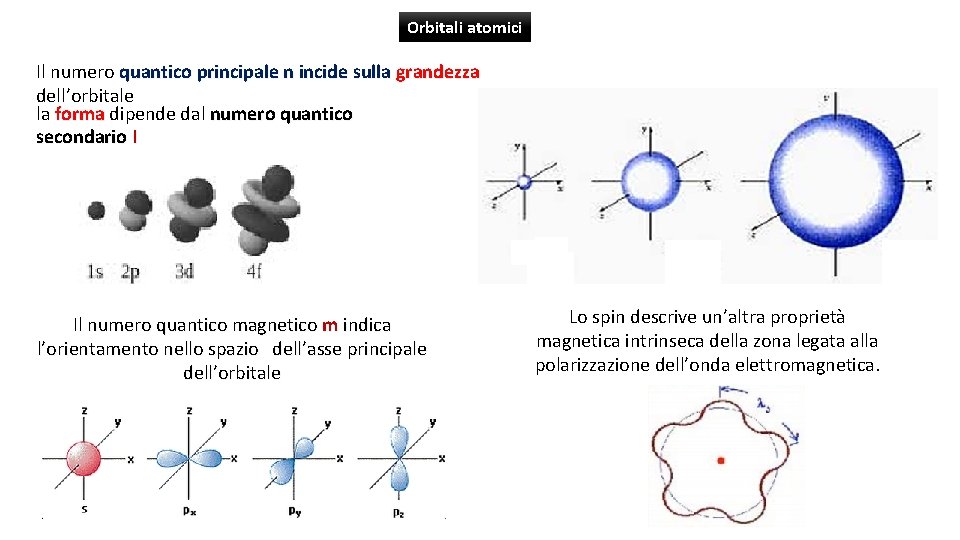 Orbitali atomici Il numero quantico principale n incide sulla grandezza dell’orbitale la forma dipende