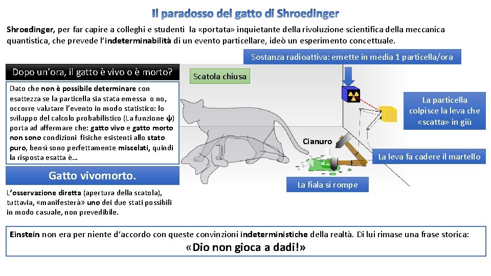 Il paradosso del gatto di Shroedinger, per far capire a colleghi e studenti la