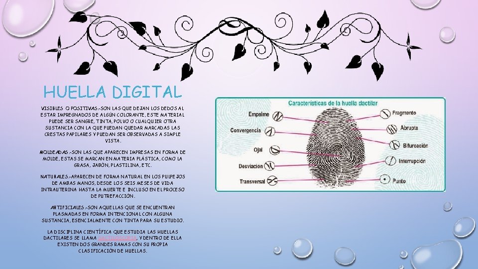HUELLA DIGITAL VISIBLES O POSITIVAS. -SON LAS QUE DEJAN LOS DEDOS AL ESTAR IMPREGNADOS