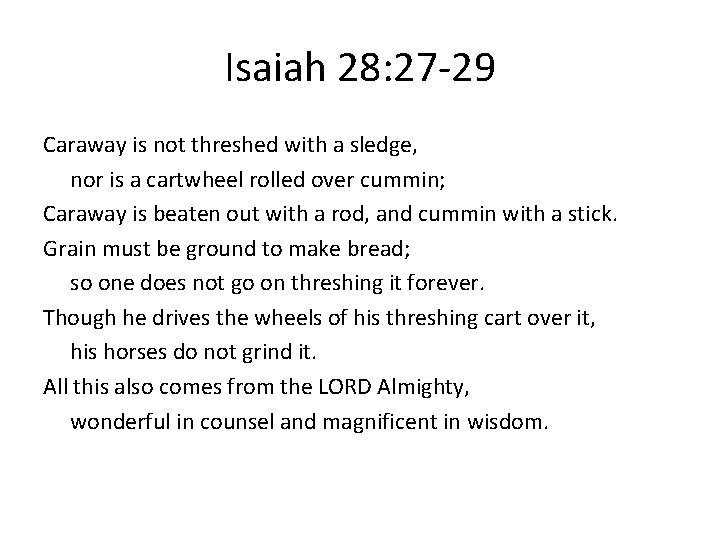 Isaiah 28: 27 -29 Caraway is not threshed with a sledge, nor is a