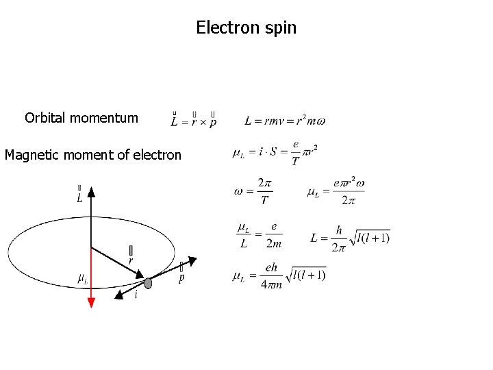 Electron spin Orbital momentum Magnetic moment of electron 