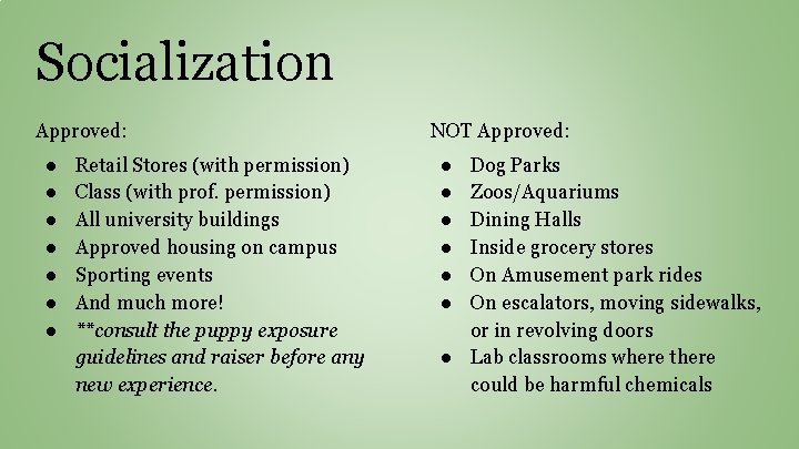 Socialization Approved: ● ● ● ● Retail Stores (with permission) Class (with prof. permission)