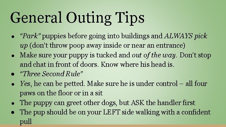 General Outing Tips ● ● ● “Park” puppies before going into buildings and ALWAYS