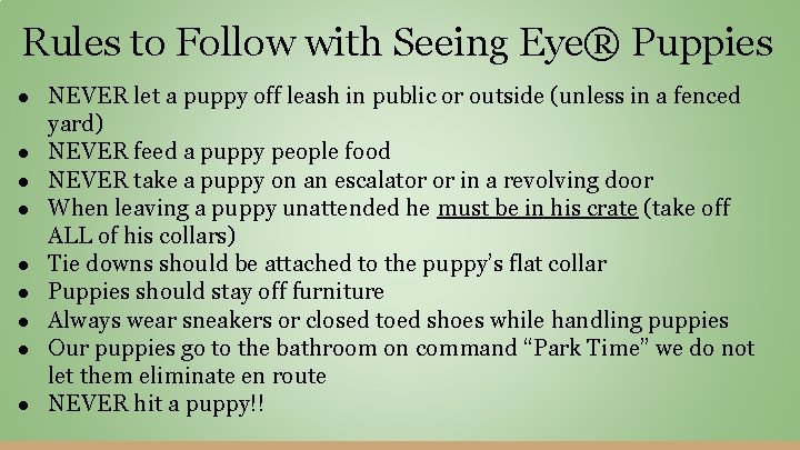 Rules to Follow with Seeing Eye® Puppies ● NEVER let a puppy off leash