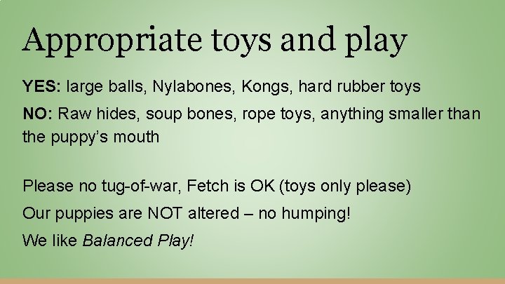 Appropriate toys and play YES: large balls, Nylabones, Kongs, hard rubber toys NO: Raw