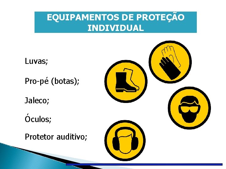 EQUIPAMENTOS DE PROTEÇÃO INDIVIDUAL Luvas; Pro-pé (botas); Jaleco; Óculos; Protetor auditivo; 