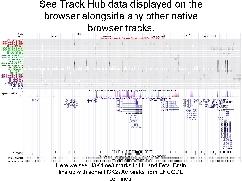 See Track Hub data displayed on the browser alongside any other native browser tracks.