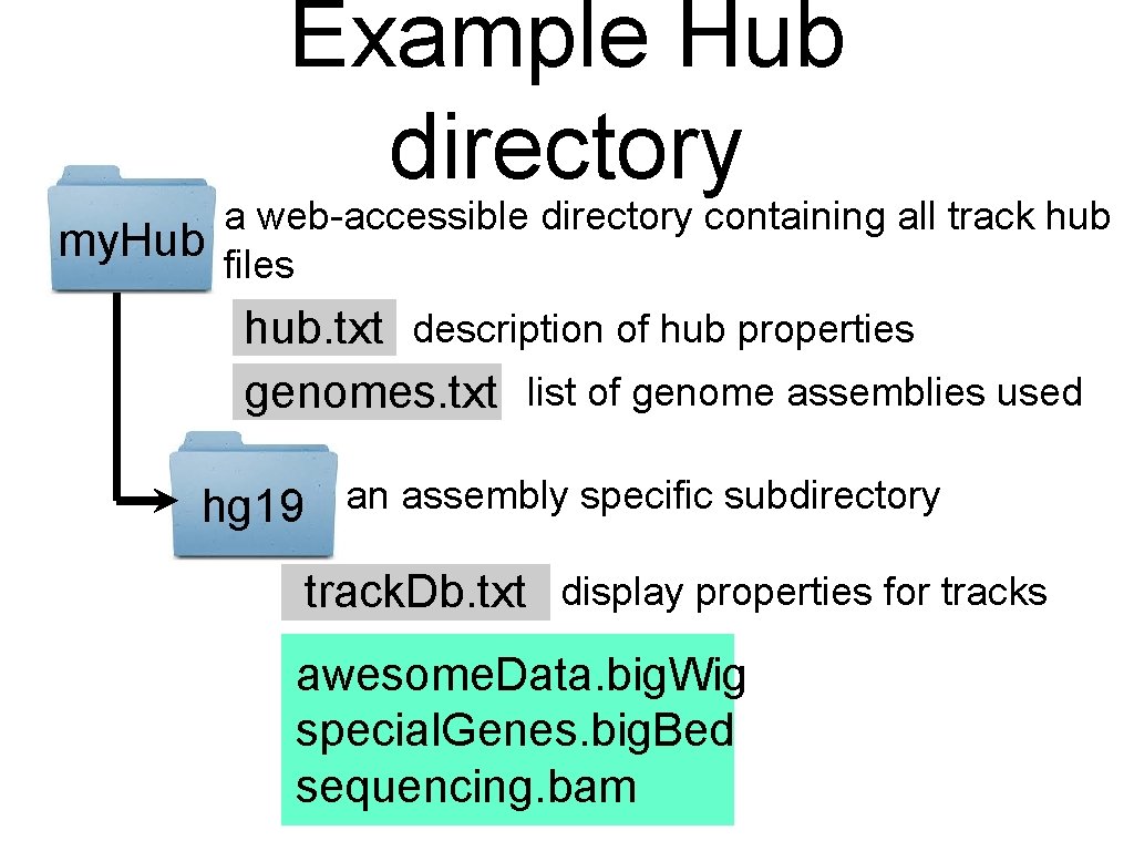 Example Hub directory a web-accessible directory containing all track hub my. Hub files hub.