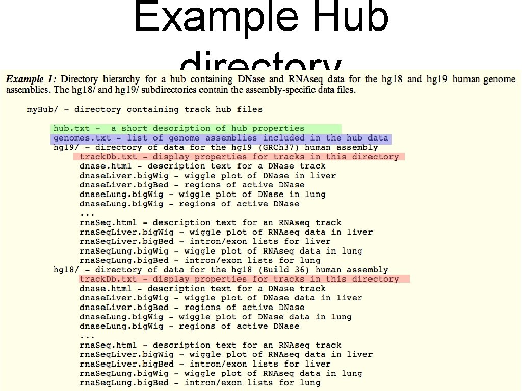 Example Hub directory 