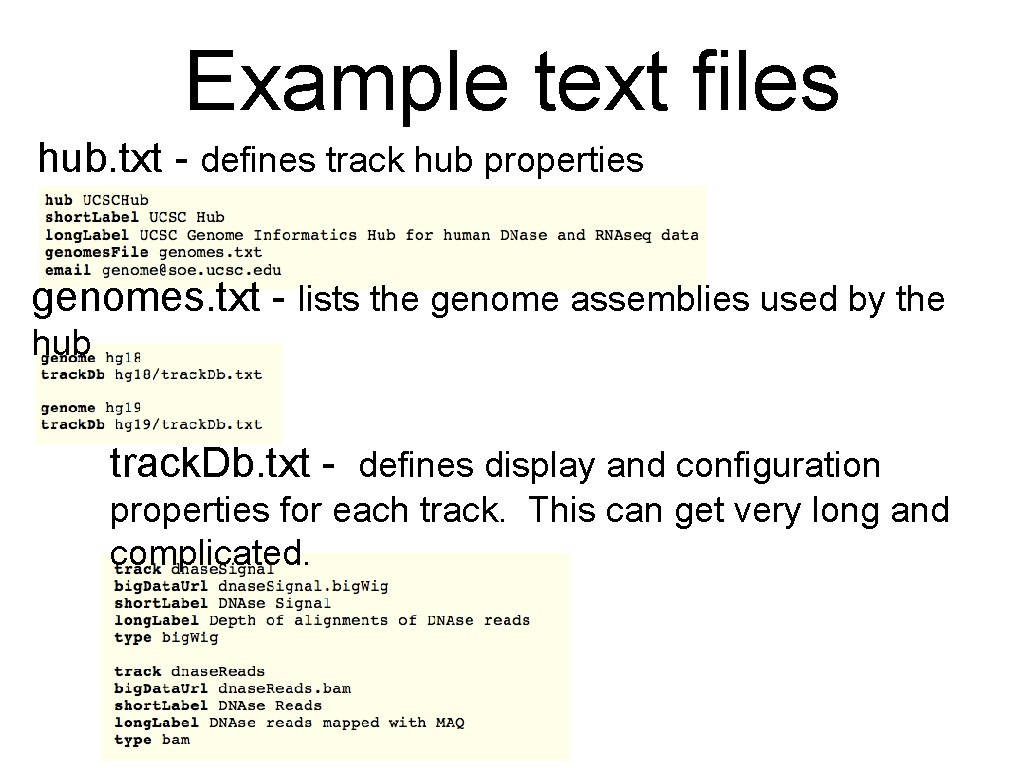 Example text files hub. txt - defines track hub properties genomes. txt - lists