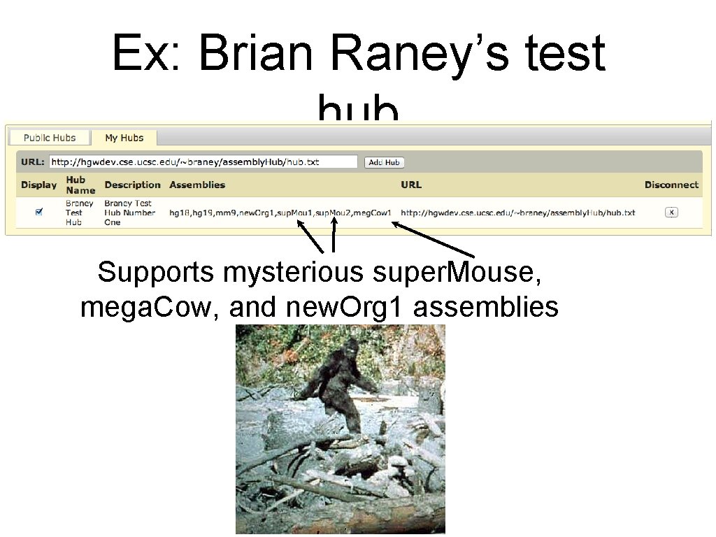 Ex: Brian Raney’s test hub Supports mysterious super. Mouse, mega. Cow, and new. Org