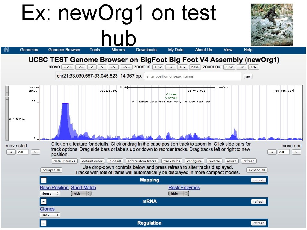 Ex: new. Org 1 on test hub 