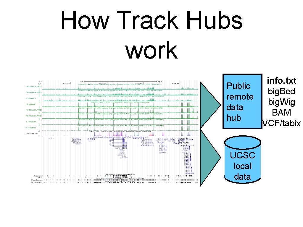 How Track Hubs work info. txt Public big. Bed remote big. Wig data BAM