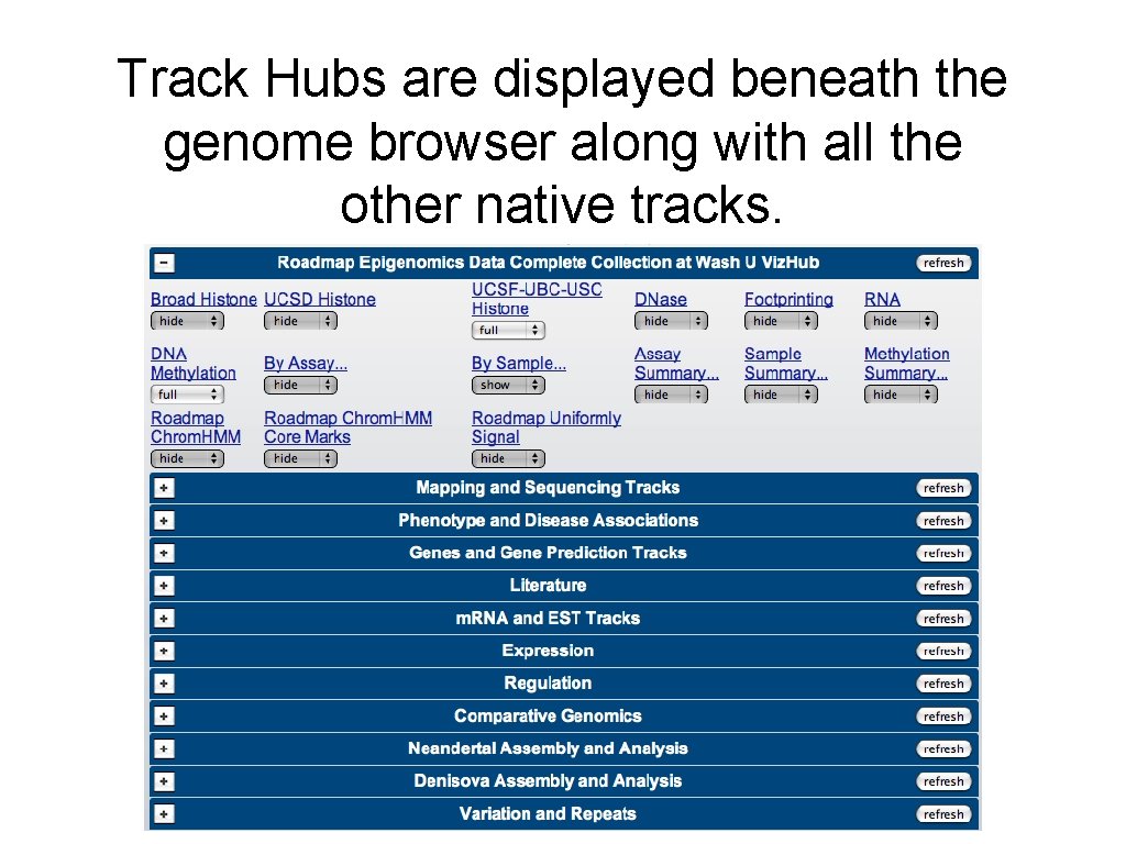 Track Hubs are displayed beneath the genome browser along with all the other native