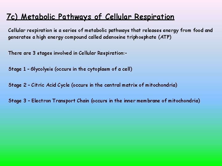 7 c) Metabolic Pathways of Cellular Respiration Cellular respiration is a series of metabolic