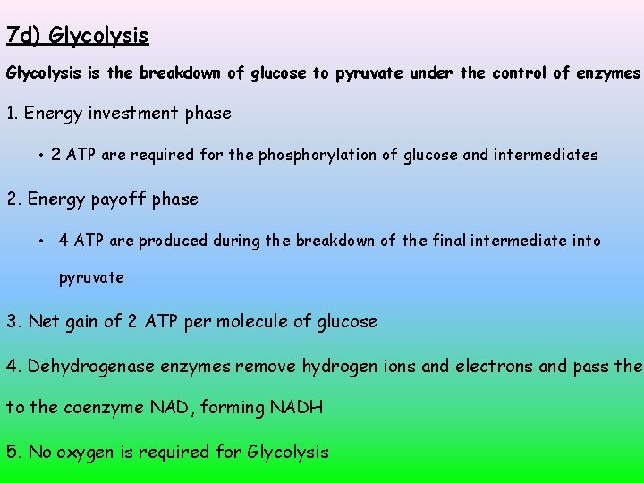 7 d) Glycolysis is the breakdown of glucose to pyruvate under the control of