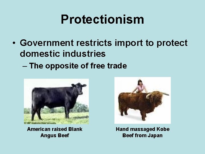Protectionism • Government restricts import to protect domestic industries – The opposite of free