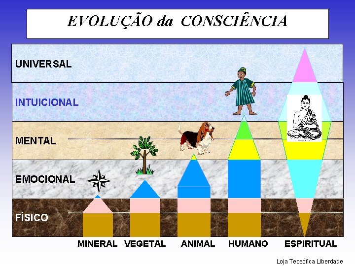 EVOLUÇÃO da CONSCIÊNCIA UNIVERSAL INTUICIONAL MENTAL EMOCIONAL FÍSICO MINERAL VEGETAL ANIMAL HUMANO ESPIRITUAL Loja