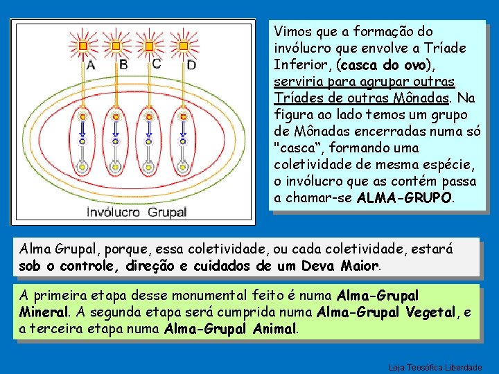 Vimos que a formação do invólucro que envolve a Tríade Inferior, (casca do ovo),