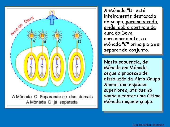 A Mônada "D" está inteiramente destacada do grupo, permanecendo, ainda, sob o controle da