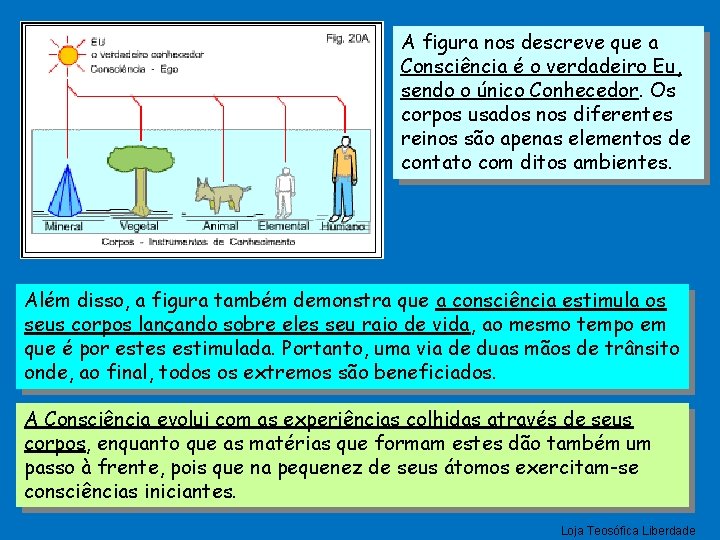 A figura nos descreve que a Consciência é o verdadeiro Eu, sendo o único