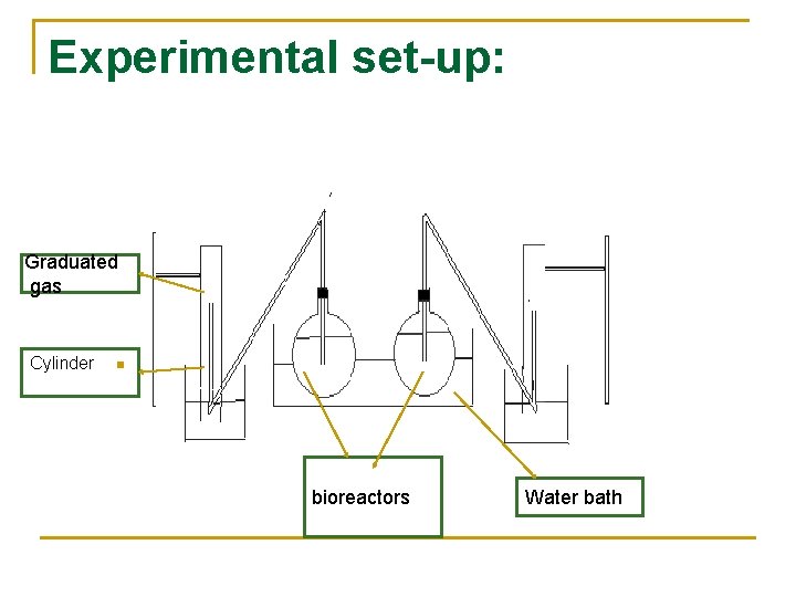 Experimental set-up: Graduated gas Cylinder n bioreactors Water bath 