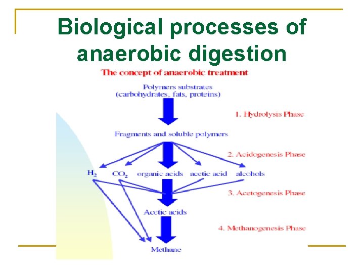 Biological processes of anaerobic digestion 